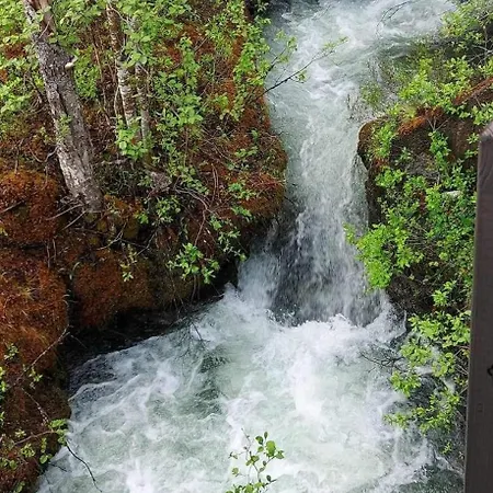 Nyaraló Mitt Paradis *