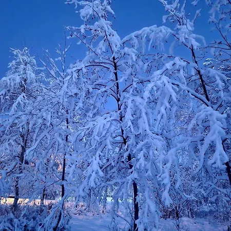 Mitt Paradis Bardufoss