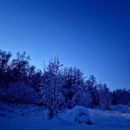Mitt Paradis Bardufoss