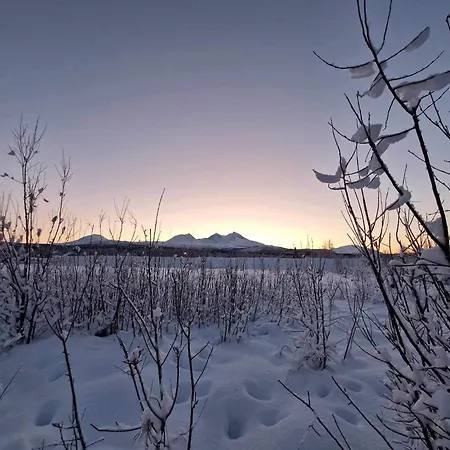 Mitt Paradis Bardufoss